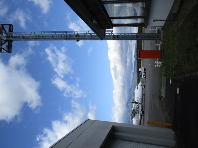20251015_113231.JPG