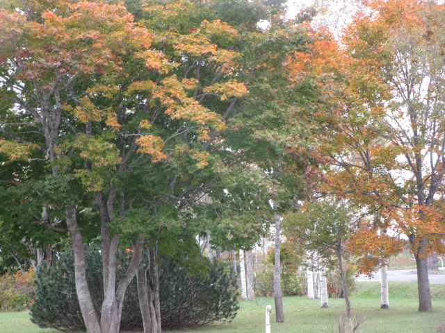 20251016_105125.JPG
