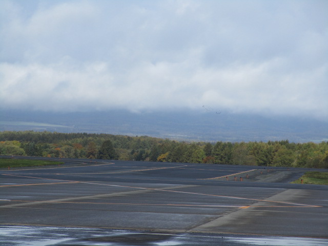 20251017_094550.JPG