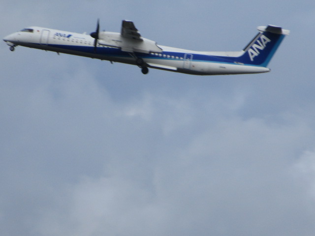 20251017_094651.JPG