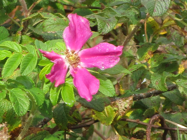 20251017_094738.JPG