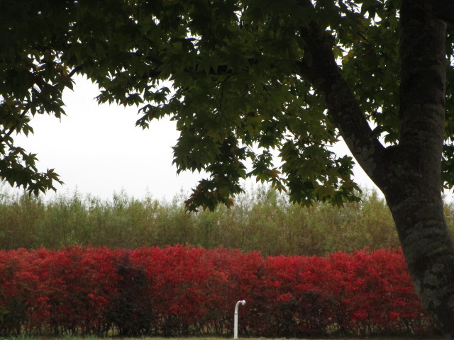 20251018_095401.JPG