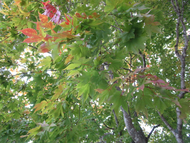20251018_095412.JPG