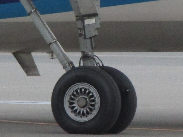20251018_134809.JPG