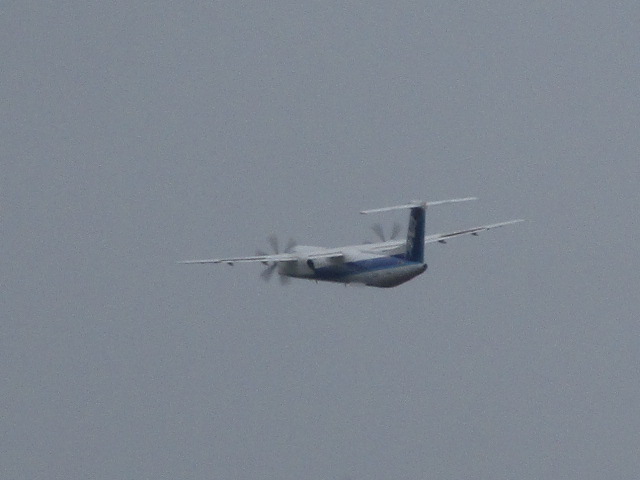 20251018_134904.JPG