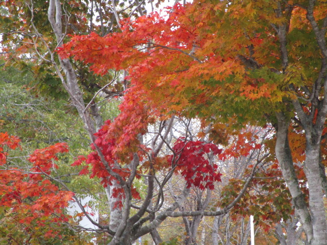 20251018_134940.JPG