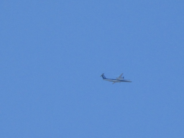 20251019_100557.JPG