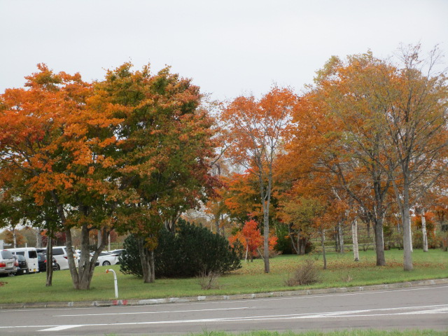 20251020_101239.JPG