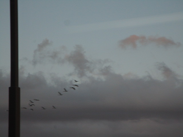 20251021_100516.JPG