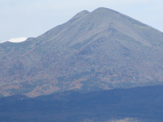20251022_095429.JPG