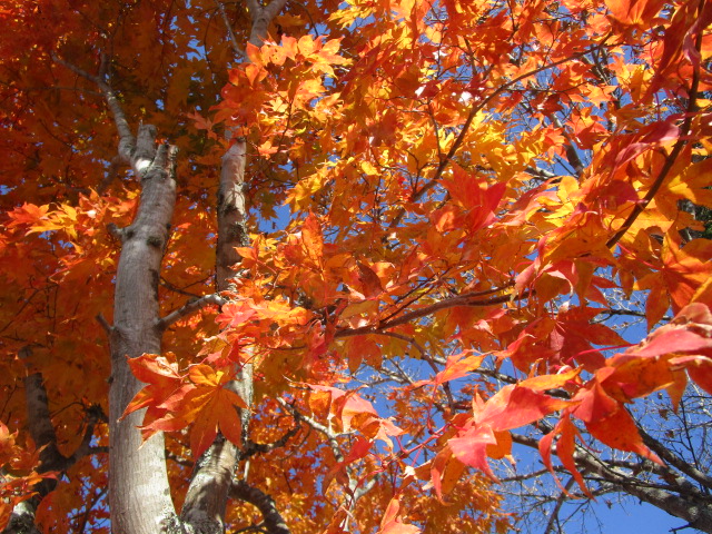 20251022_095800.JPG