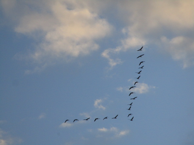 20251022_161731.JPG