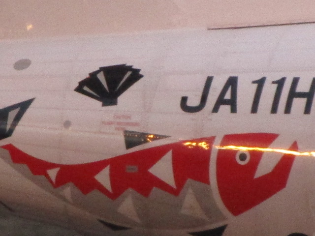 20251022_165332.JPG