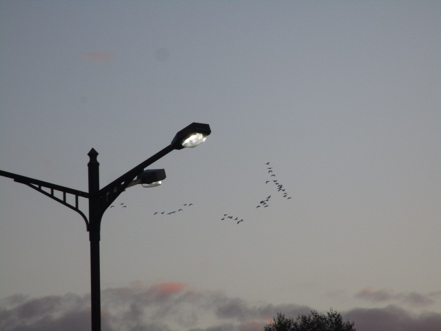 20251024_163859.JPG