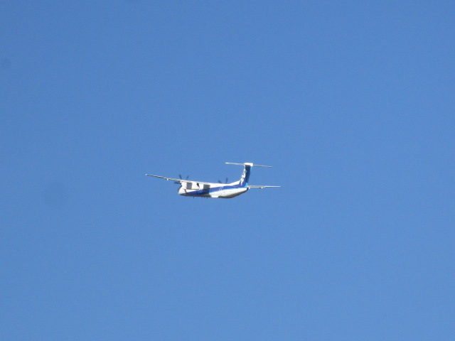 20251025_102006.JPG