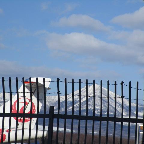 今日の中標津空港