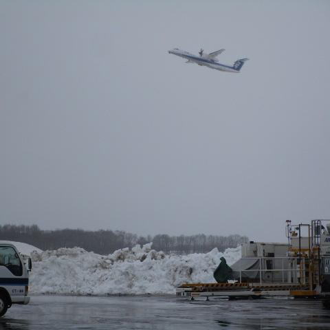 今日の中標津空港