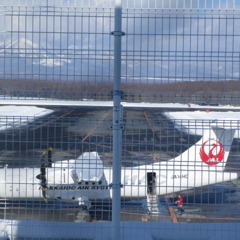 今日の中標津空港