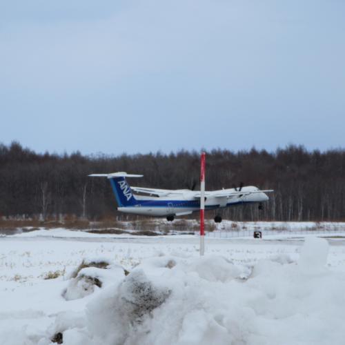 今日の中標津空港