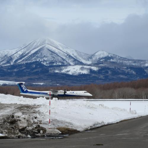 今日の中標津空港