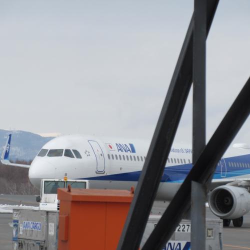 今日の中標津空港