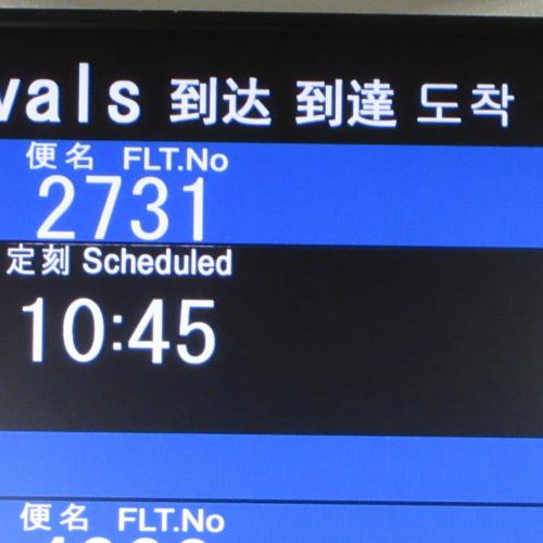 今日の中標津空港