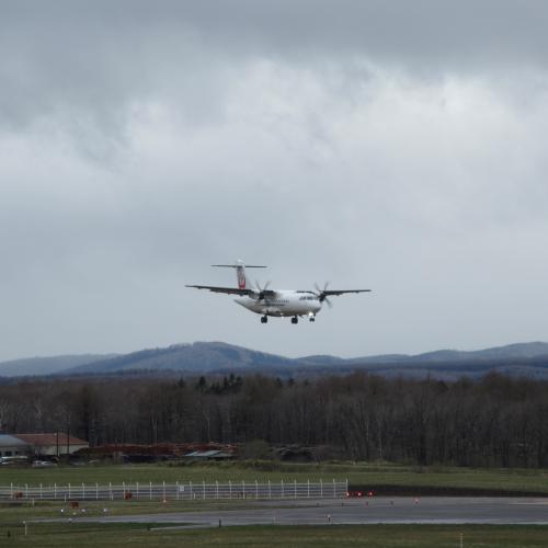 丘珠便