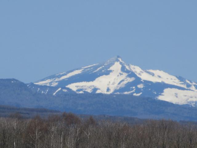 20260505_121452.JPG