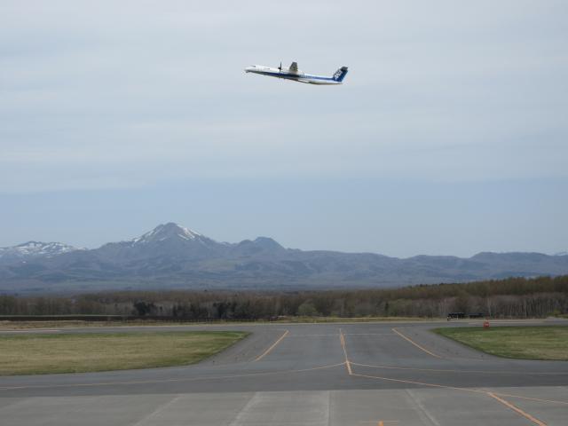20260506_104355.JPG