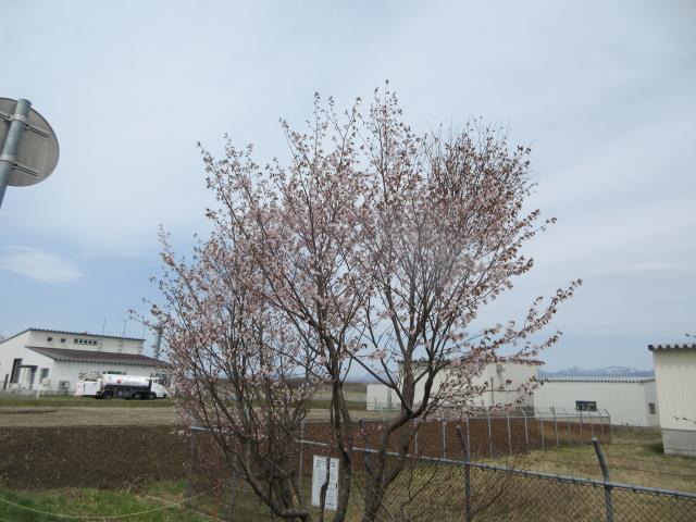 20260506_104443.JPG