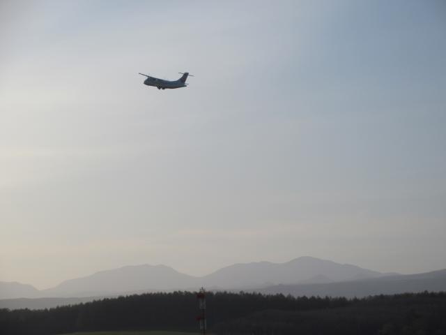 20260506_171141.JPG
