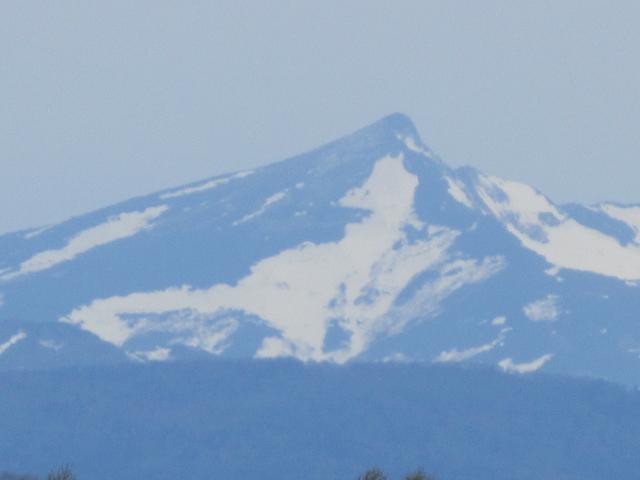 20260510_103352.JPG