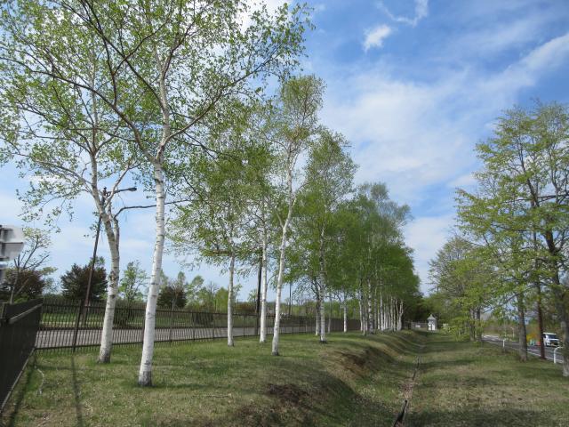 20260513_092437.JPG