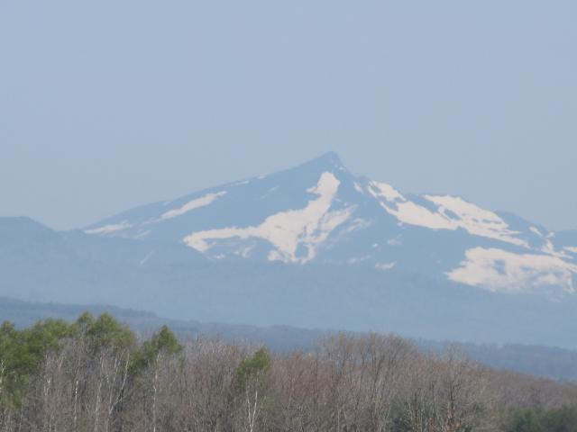 20260515_093025.JPG