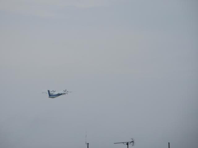 20260519_092852.JPG