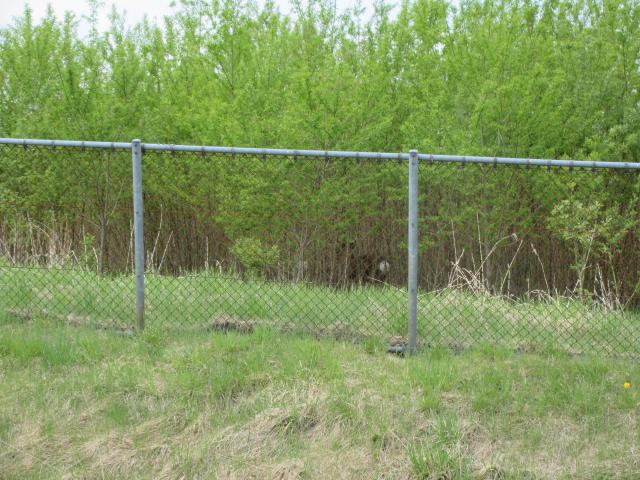 20260521_094311.JPG