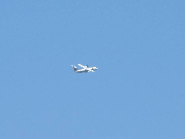 20260523_140931.JPG