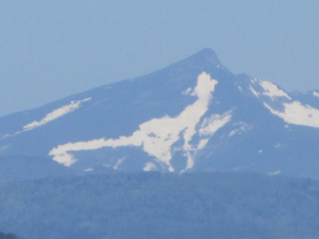 20260523_141000.JPG
