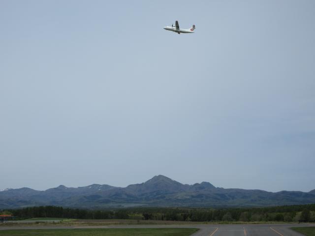 20260524_143716.JPG