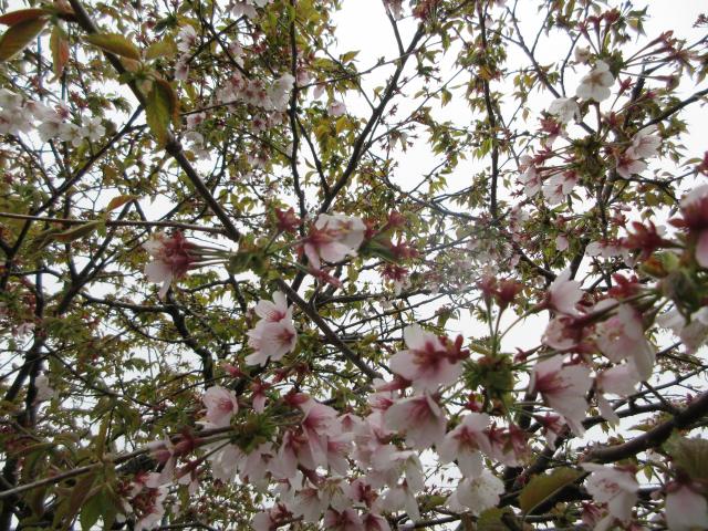 20260525_102707.JPG