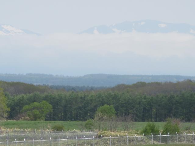 20260526_102517.JPG