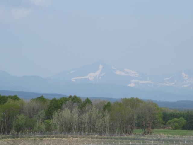 20260527_114647.JPG
