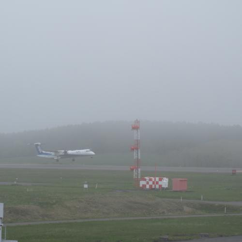 今日の中標津空港