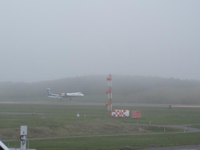 20260528_103041.JPG