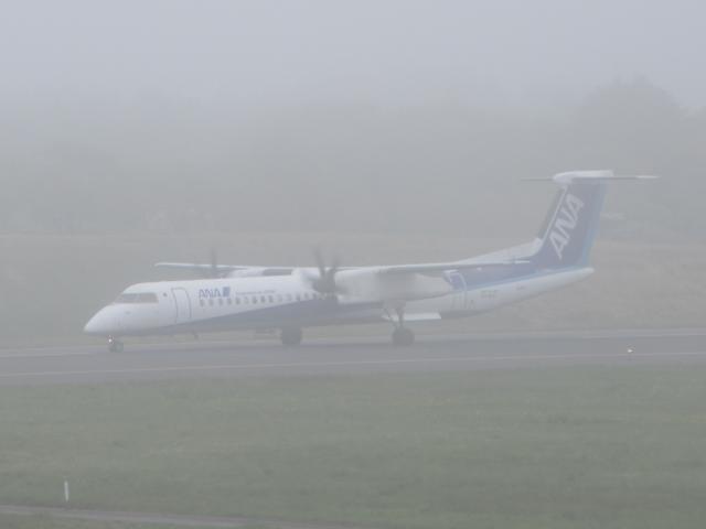20260528_112331.JPG
