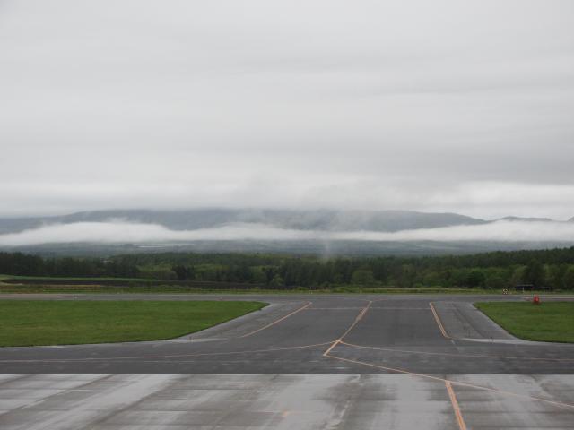 20260529_080611.JPG