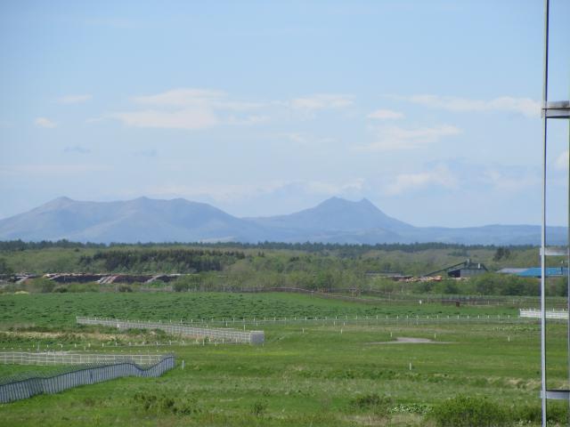20260530_112421.JPG