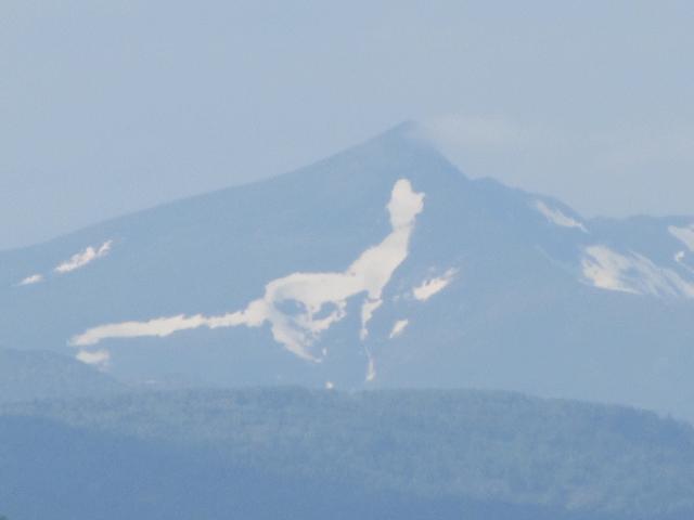20260530_164216.JPG