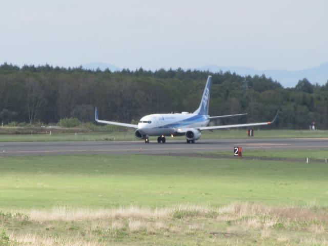 20260530_164250.JPG