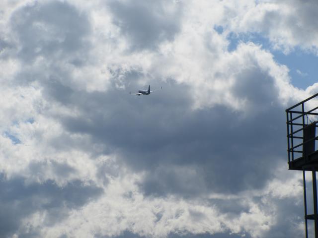 20260530_165048.JPG